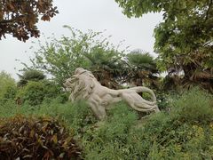 -上膳源有机农场