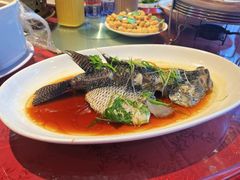 清蒸石斑鱼-荣誉国宴楼(美食城店)