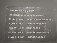 -西双版纳原始森林公园