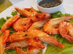白灼大草虾-骏莱海鲜鱼港(五角场店)