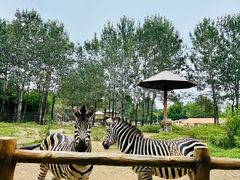 -大连森林动物园