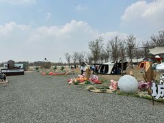 -天津东丽湖风景区