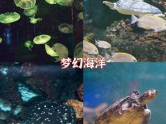 -华夏文旅西安度假区