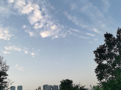 -桂溪生态公园