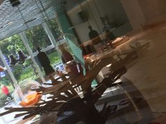 -飞行喵MR PILOT|猫舍·猫咖(静安大融城店)