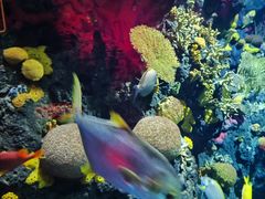 -上海海昌海洋公园