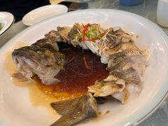 -博雅渔港·融合菜(维也纳国际大酒店)