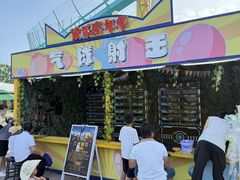 -三亚红色娘子军演艺公园景区