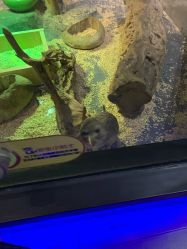 -未来动物城主题公园(正弘城店)
