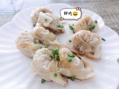 蛋黄鲜肉煎馄饨-乌镇姐妹特色小吃(银杏公寓店)