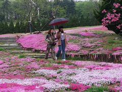 -棒棰岛宾馆景区