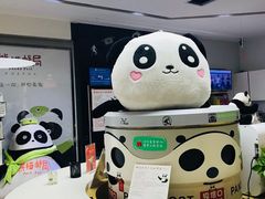 -熊猫邮局(少城店)