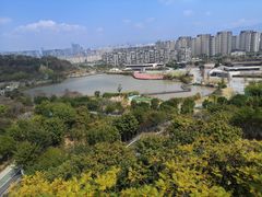 -飞凤山奥体公园