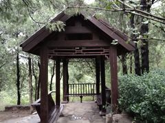 -佛慧山