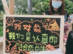 -武汉光谷K11