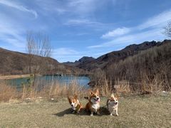 -玉渡山自然风景区