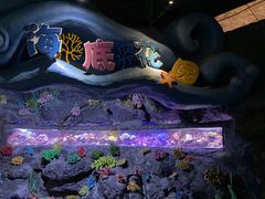 -锦艺城海洋馆