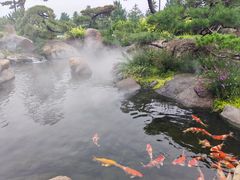 -罗红摄影艺术馆