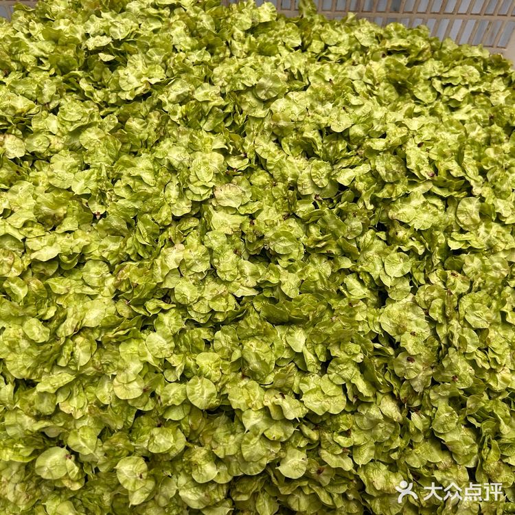 也是吃上了亲自做的榆钱馒头👍