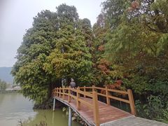 -星湖旅游景区七星岩