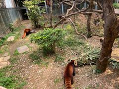 -柳州市动物园