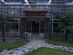 -上海都市菜园
