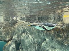 -成都浩海立方海洋公园