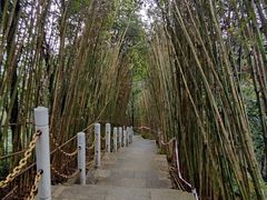 -道教老君洞