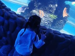 -石家庄海洋公园