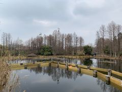 -西溪国家湿地公园