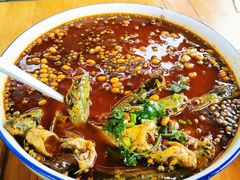 黄辣丁-青城甲(青城山店)