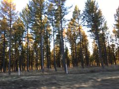 -塞罕坝国家级自然保护区