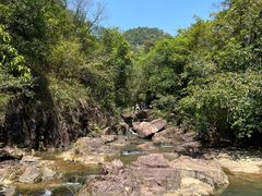 -广州白江湖森林公园