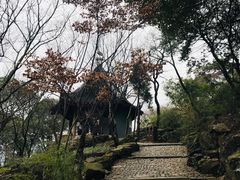 -香雪海