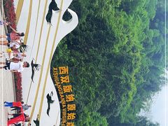-西双版纳原始森林公园