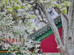 -北海公园