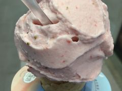-野人先生现做冰淇淋(西安赛格店)