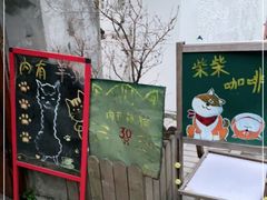 -猫色咖啡·猫咖