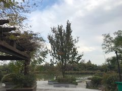 -桃花岛景观公园