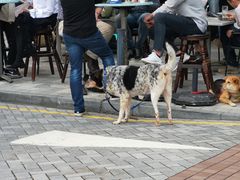 -赤柱市集