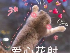 -苏完瓜尔佳氏·满洲涮肉(古方路店)
