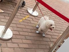 -王府井奥莱临潼小镇(临潼店)