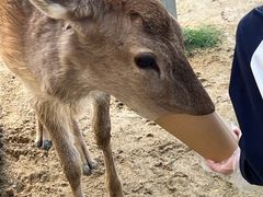 -盈香心动乐园