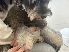 -怪兽屋·羊驼·猫咖·狗咖(俊华广场店)