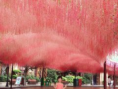 -郑州方特梦幻王国