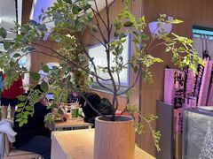 -茉莉奶白(广州动漫星城店)