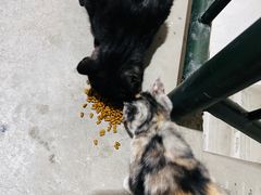 -天毓山庄·餐厅