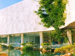 -罗红摄影艺术馆