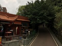 -金鸡山公园