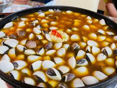 -顺德哥卜卜贝(旗舰店)